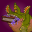 Smell Mastery Icon