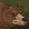 Bear Form Icon