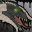 Black Dragon's Corrosion Icon