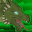 Green Dragon's Spite Icon