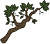 Solace Icon