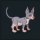 Snuggles the Sphynx Cat Familiar Icon