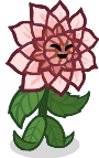 Atchoo the Dahlia Model WebP