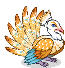 Birdie the Peacock Portrait